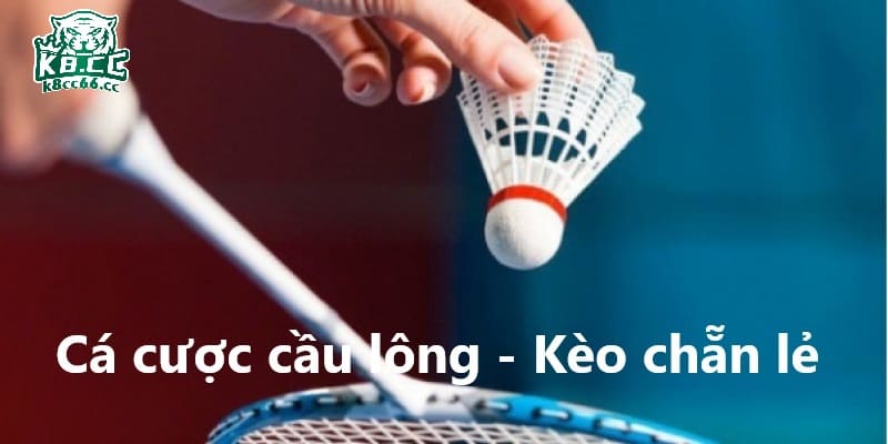 Kèo cá cược cầu lông chẵn lẻ mang đến cơ hội làm giàu cho bet thủ